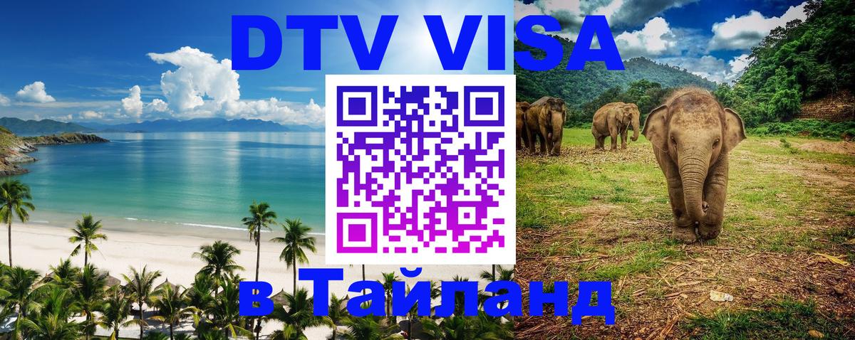 Сколько стоит DTV виза — актуальные цены, оформление даже без документов - Рязань 